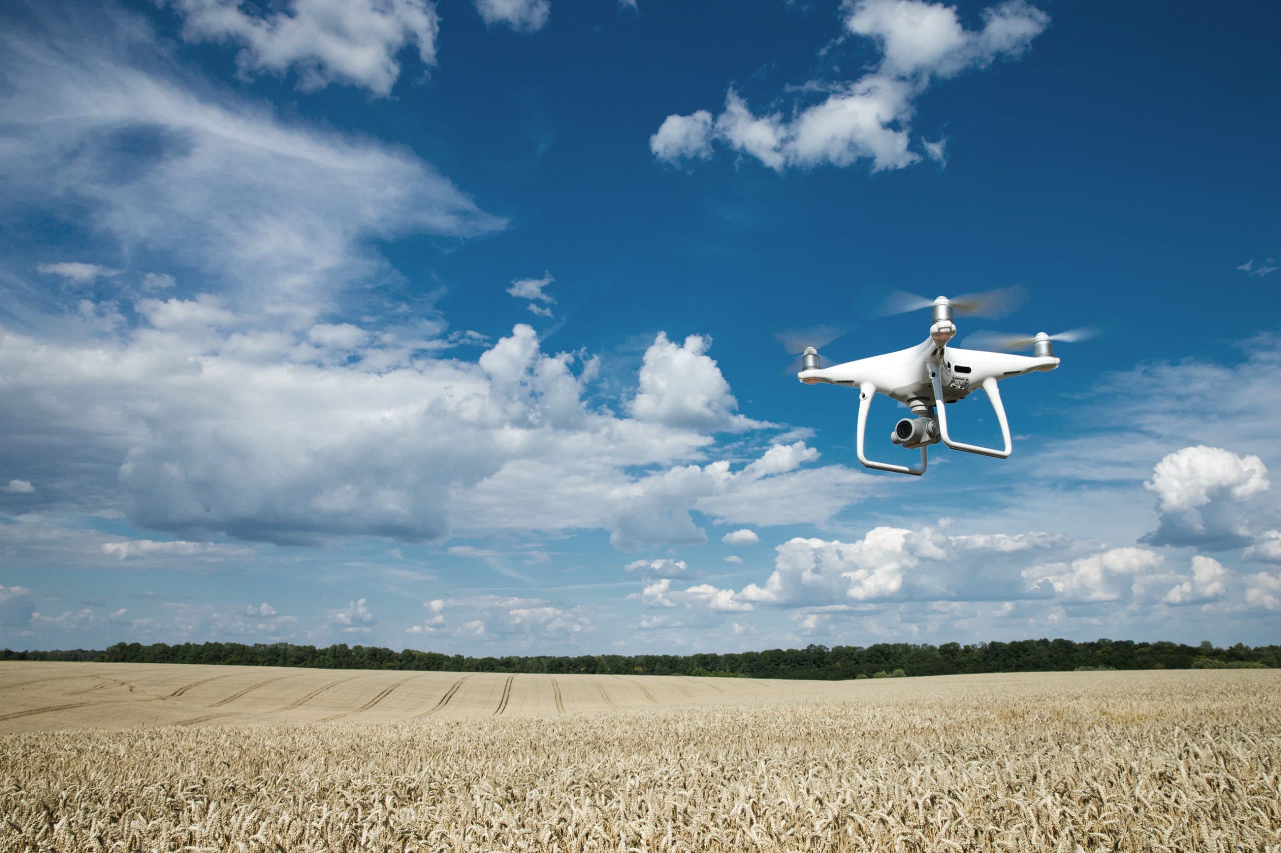 DJI Drohne über einem Feld