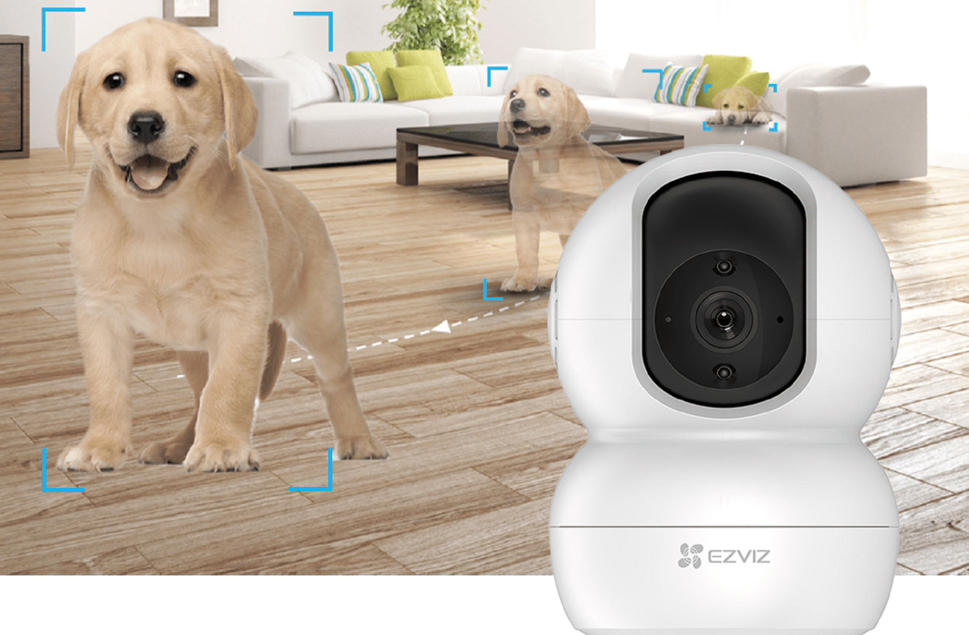 EZVIZ Smart tracking Funktion eines Hundes