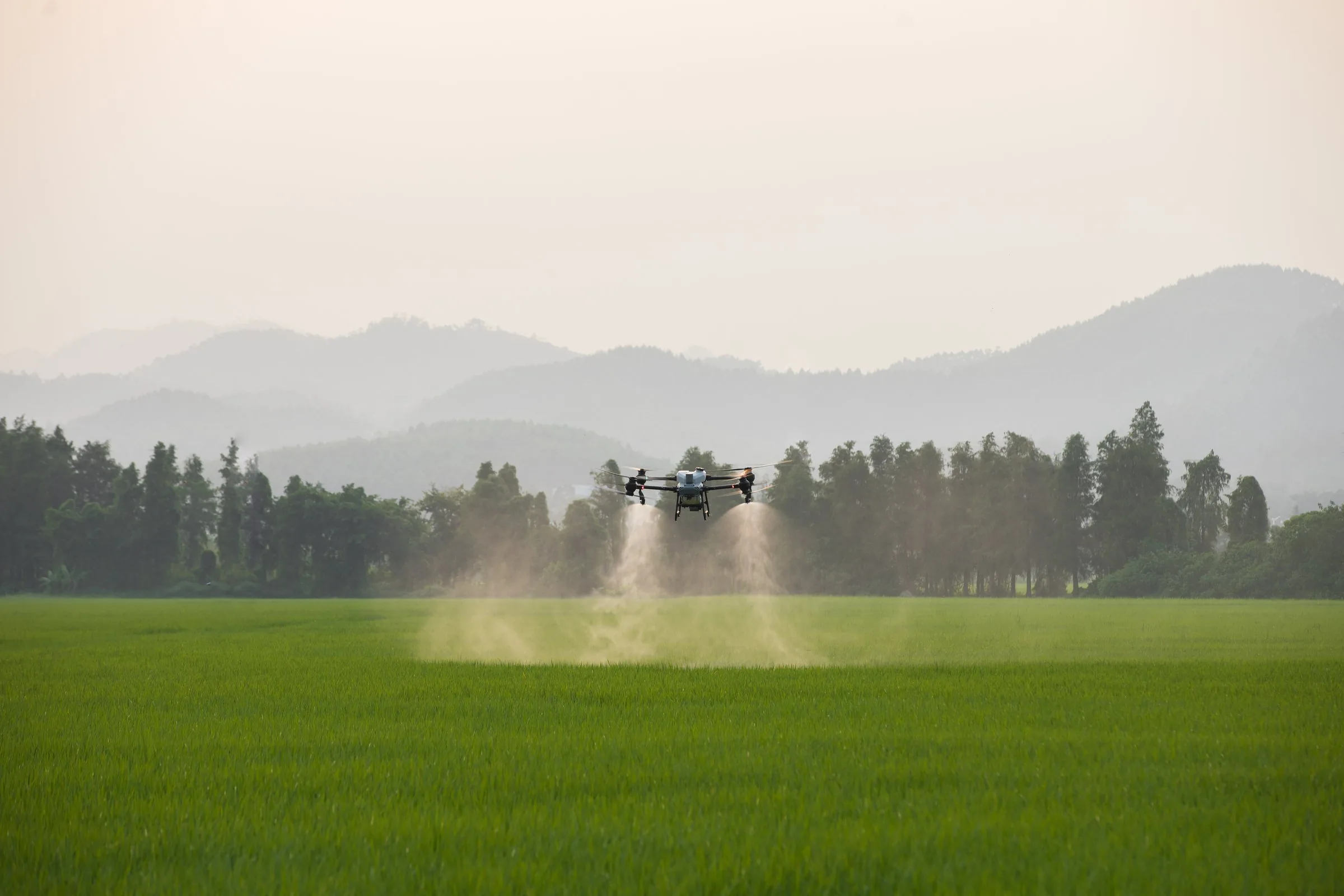 Agricultural drone spraying a field